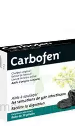 Gifrer Carbofen Gélules B/30 à AIX-EN-PROVENCE
