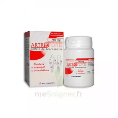 Artrofortil 750 Mg Comprimés Articulations B/60 à AIX-EN-PROVENCE