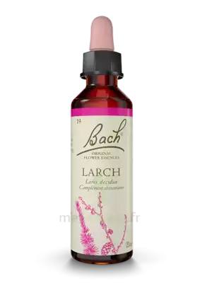 Fleurs De Bach® Original Larch - 20 Ml à AIX-EN-PROVENCE